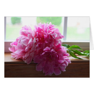 PEONIES