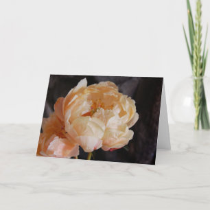 Peonies 6 card