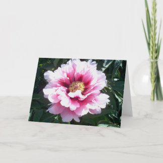 Peonies Card