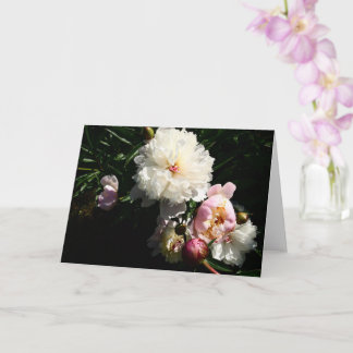Peonies Card