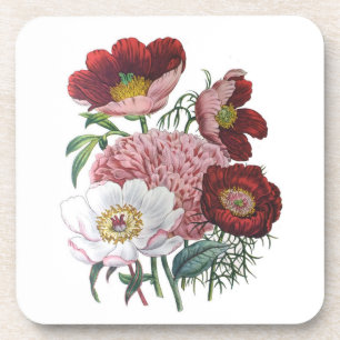 Peonies Coaster
