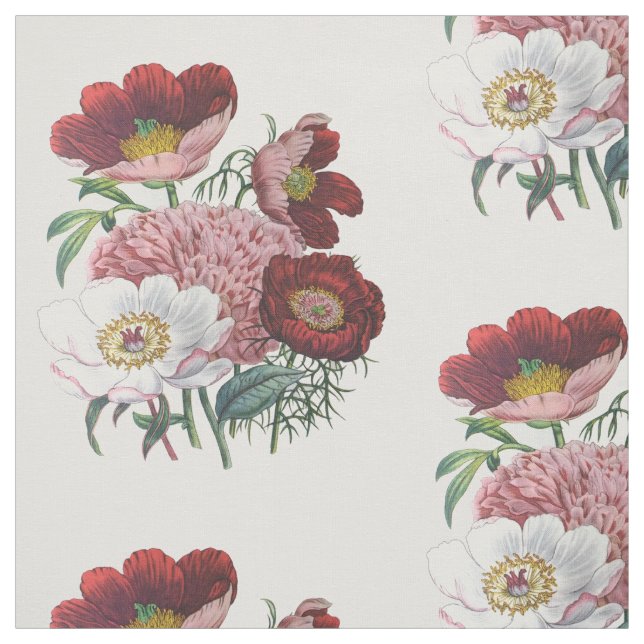 Peonies Fabric (Swatch)