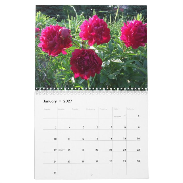 Peonies Flower Floral 2012 Calendar (Jan 2027)