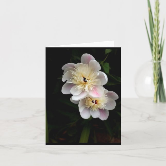 Peonies Folded Note Card (Front)