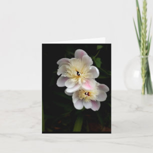 Peonies Folded Note Card