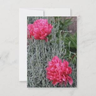 Peonies & Lavender Card
