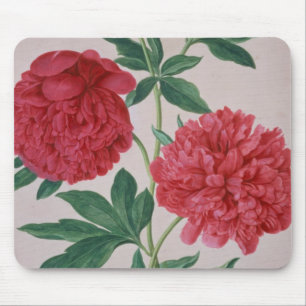 Peonies, plate 46 from the Nassau Florilegium (w/c Mouse Mat