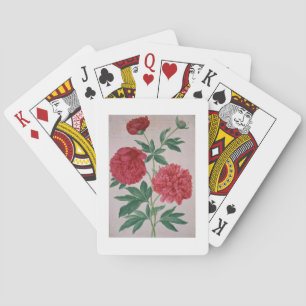 Peonies, plate 46 from the Nassau Florilegium (w/c Playing Cards