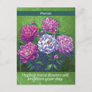 Peonies Postcard