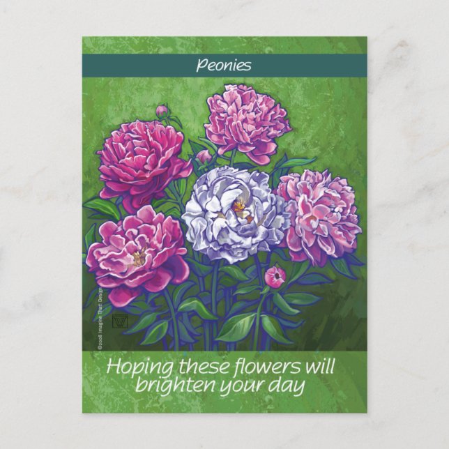 Peonies Postcard (Front)