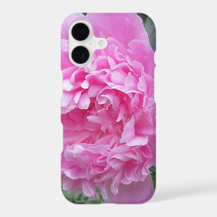 Peony
