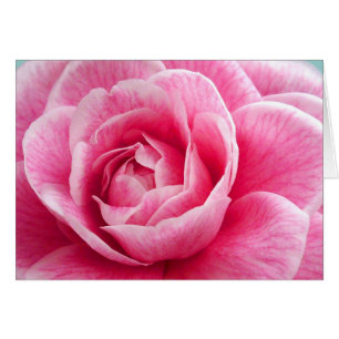 Peony