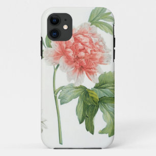 Peony, 1799 (colour stipple print) iPhone 11 case