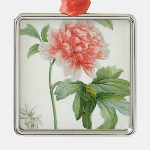 Peony, 1799 (colour stipple print) metal tree decoration