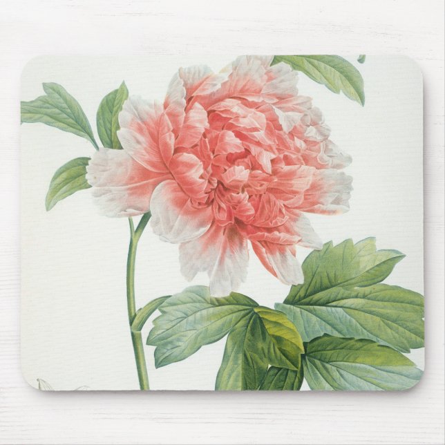 Peony, 1799 (colour stipple print) mouse mat (Front)