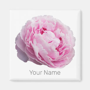 Peony Blossom Rose For Flower And Garden Lover Magnet
