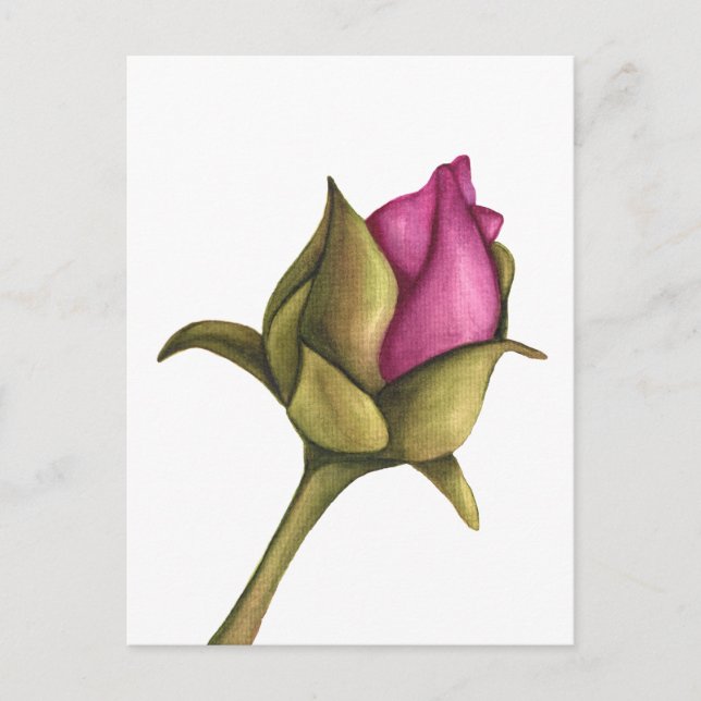 peony bud holiday postcard (Front)