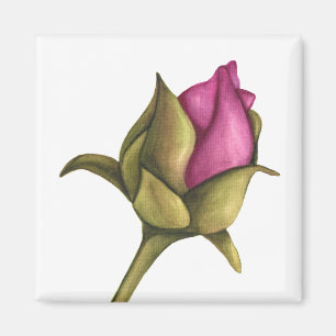 peony bud magnet
