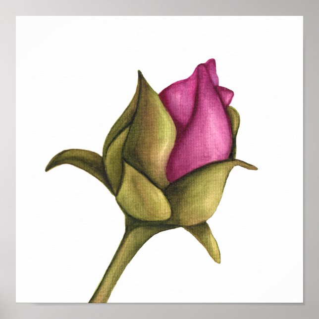 peony bud poster (Front)