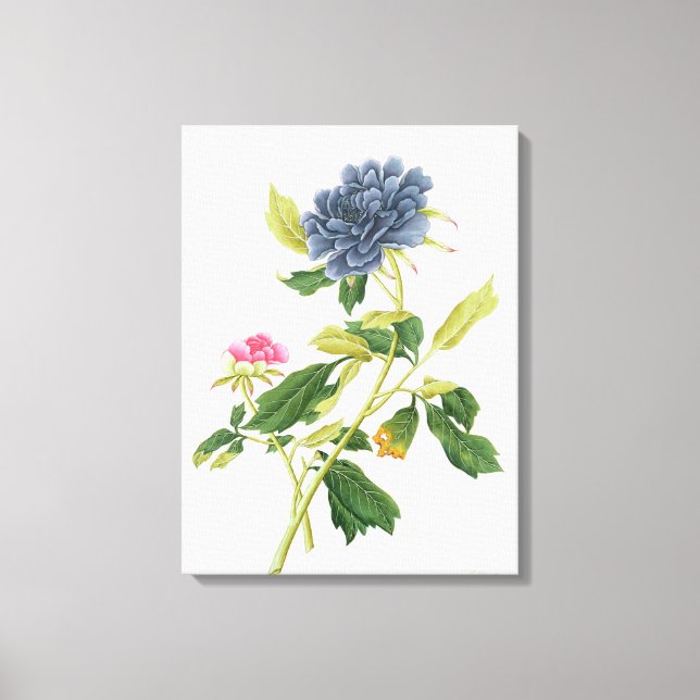 Peony Canvas Print (Front)