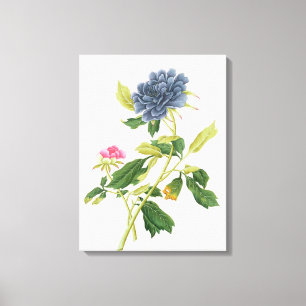Peony Canvas Print