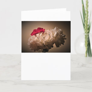 Peony, card