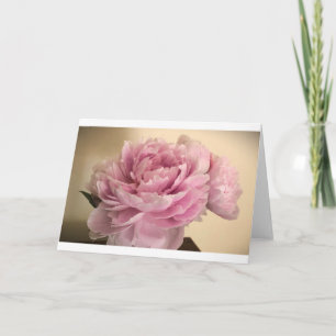 Peony, card