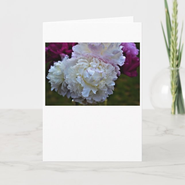 Peony, card (Front)