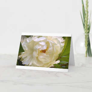 Peony, card