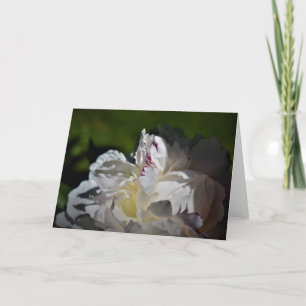 Peony, card