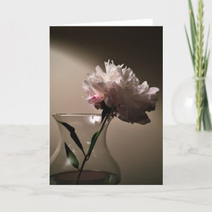 Peony, card