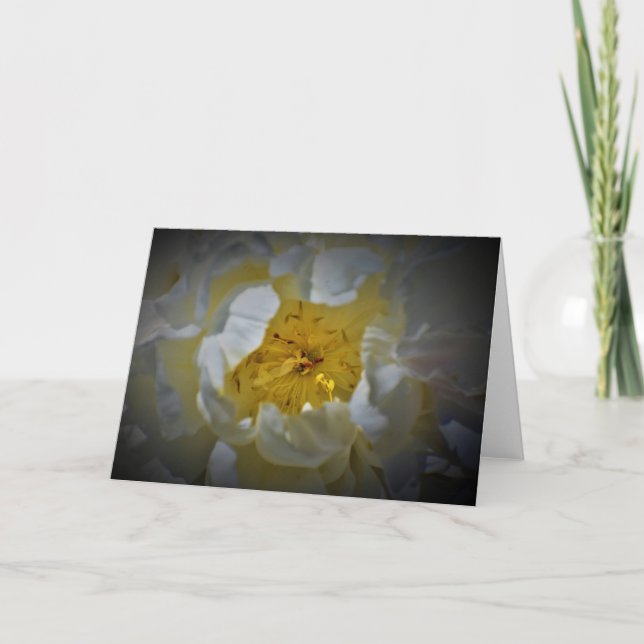 Peony, card (Front)