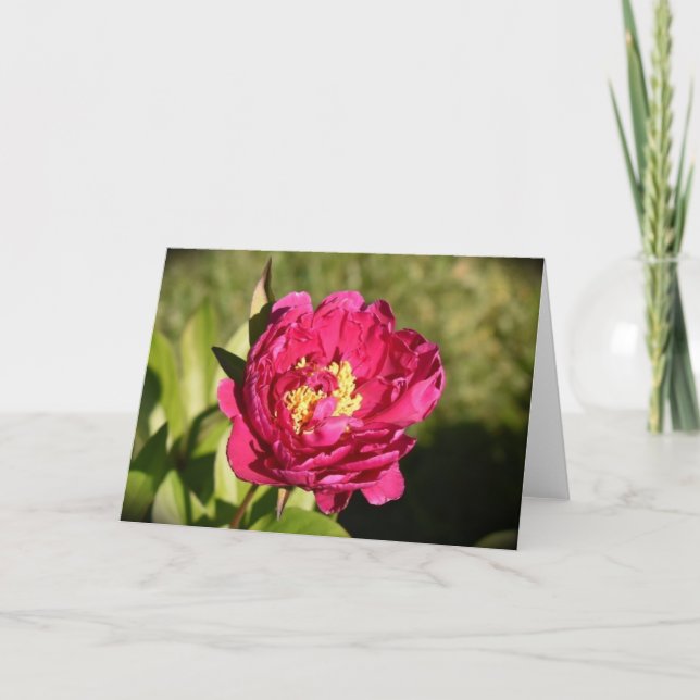 Peony, card (Front)