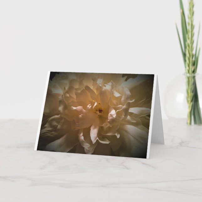 Peony, card (Front)