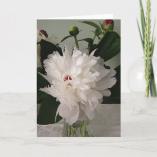 Peony, Card