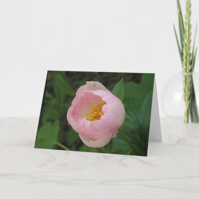 Peony Card (Front)