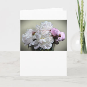 Peony, card