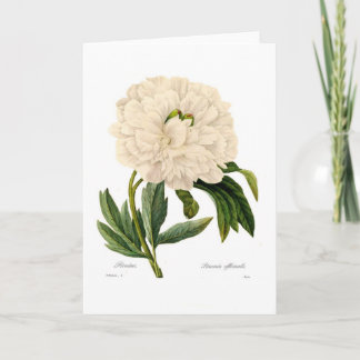 Peony Card