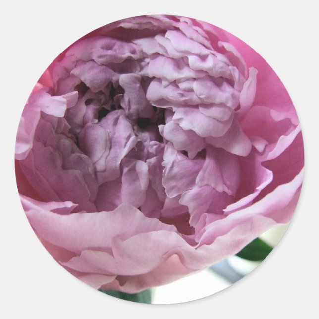 Peony Classic Round Sticker (Front)