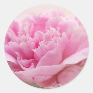 Peony closeup envelope seals