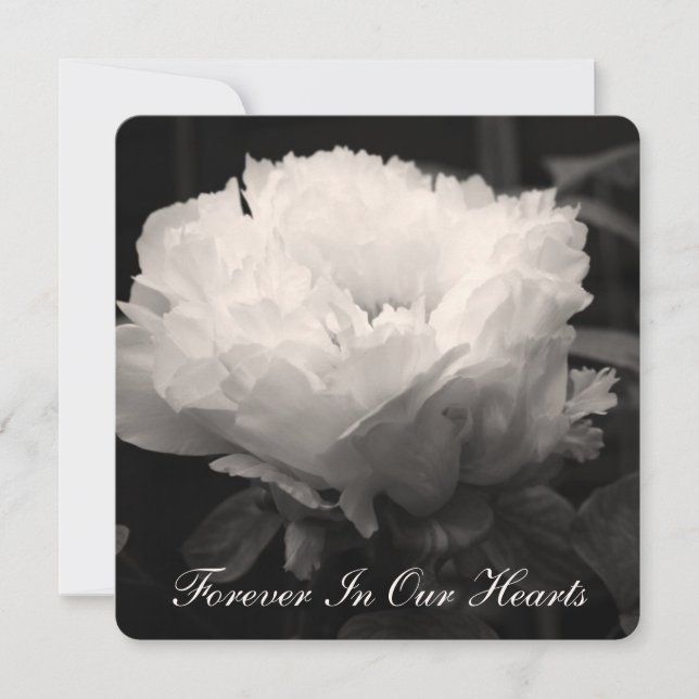 Peony Floral Photography 2 Funeral Announcement (Front)