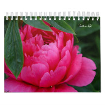 Peony Flower