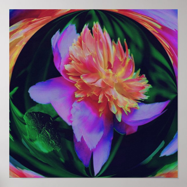 Peony Flower Energy Art Abstract Poster (Front)