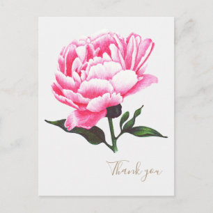 Peony Flower Illustration Pen Drawing Postcard