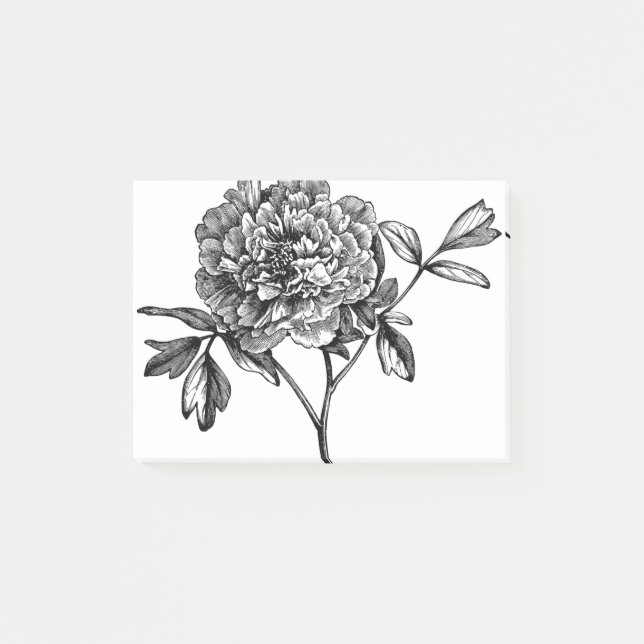 Peony Flower Line Art Floral Plant Decorative Post-it Notes (Front)