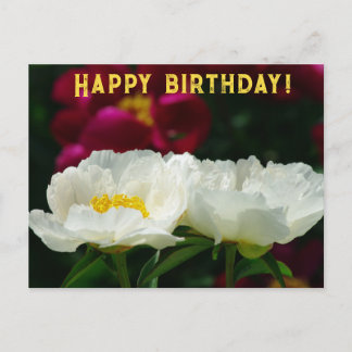 Peony/Flower Magic/White Flower/Happy Birthday/ Holiday Postcard