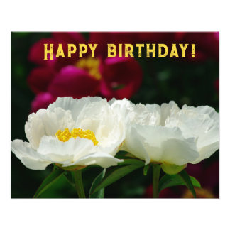 Peony/Flower Magic/White Flower/Happy Birthday/ Photo Print