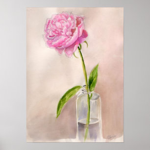 Peony Flower Still Life in Watercolor Poster