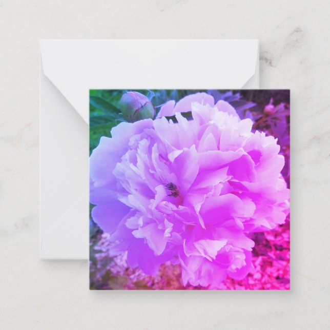 Peony Flower with a Honey Bee Card (Front)