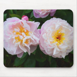 Peony flowers mouse mat